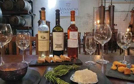 WineTour Palmela - Cheese, Wine & Bread