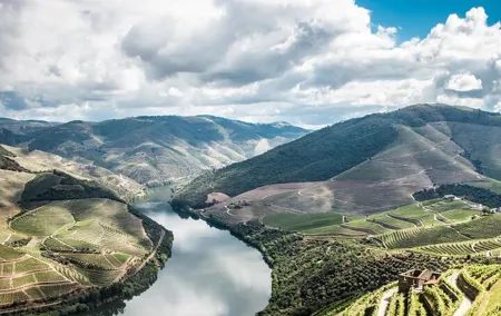 Lisbon to Douro whit stop at Obidos-Nazare and Coimbra