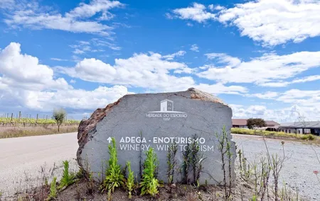 Private Wine Tour Alentejo