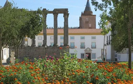 Évora Unveiled | Premium Private Half-Day Discovery