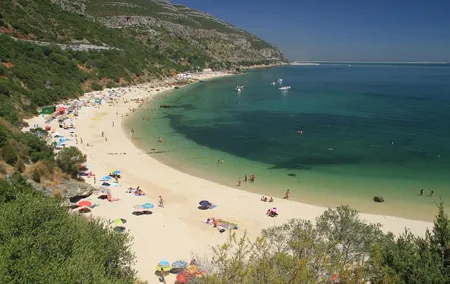 Full Day Private Tour - Arrábida Beaches and Azeitão Wine Region