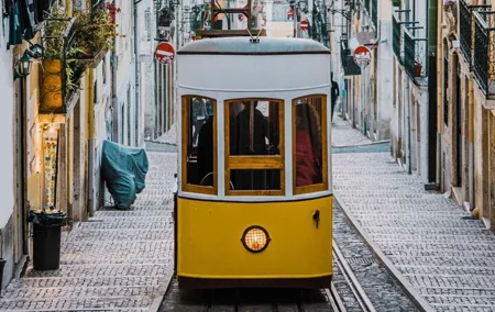 Private Guided Walking Tour in Lisbon