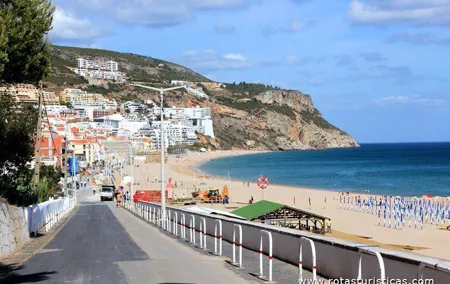 Private Tour: Half-Day visiting Setúbal Winery and Lunch Grill Fish at Sessimbra