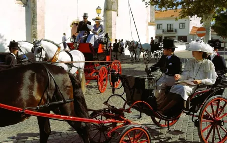 Private Half day Tour in Lusitanian Horses and Photography Museum