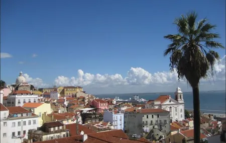 Lisbon walking tailored private tour (half day)