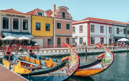 Aveiro and Ilhavo Private Tour From Lisbon