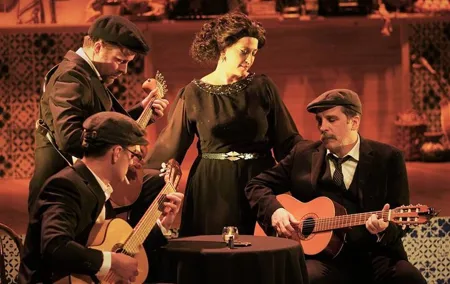 Lisbon Capital of Fado - Private Tour with Dinner