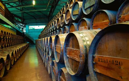 Small Group Full-Day Arrábida Wine Tour and Food Tasting