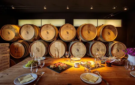 A Journey Through Portugal With the Glass- A wine tasting travel
