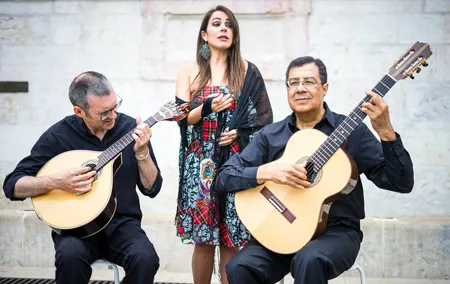 Private Fado Night in Lisbon with Dinner & City Tour
