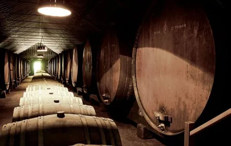 Full-Day Private South Bay Wine Experience from Lisbon