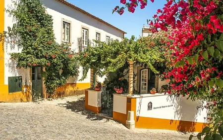 Private Tour to Obidos: Windmills, Vineyards and Flowery Villages from Lisbon
