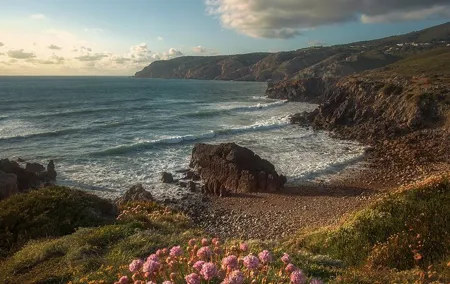 Half-Day Private Tour of Sintra & Cascais