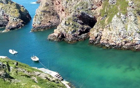 Tour of the West and Berlengas Island