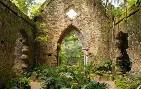 The Other Side of Sintra - Forgotten Woods
