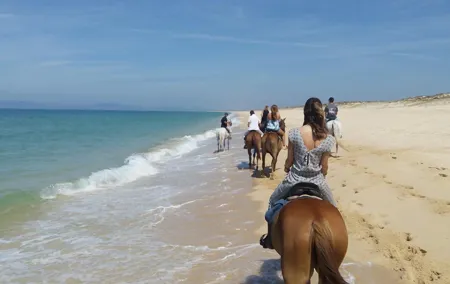 Horse Riding on the Beach Tour