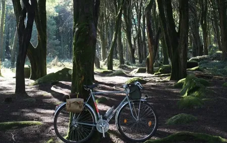 Monsanto Vintage Bike Tour