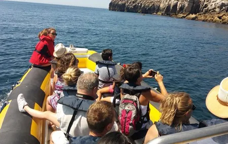 Boat Tour in Peniche