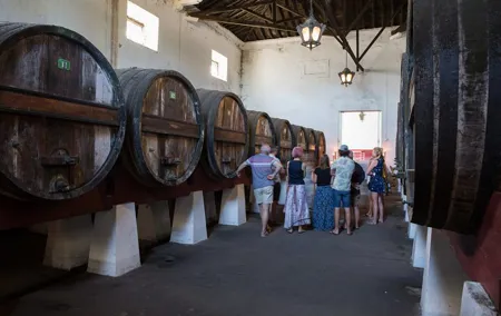 Historic Winery Tour and Tasting in Bombarral