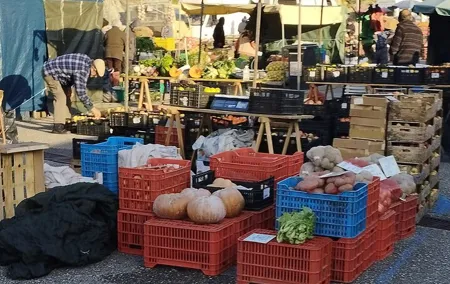 From Lisbon: Traditional Market, Mafra, Ericeira & Crafts