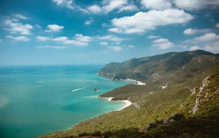 Arrábida Private Tour | Olive | Sesimbra | Explore and Taste