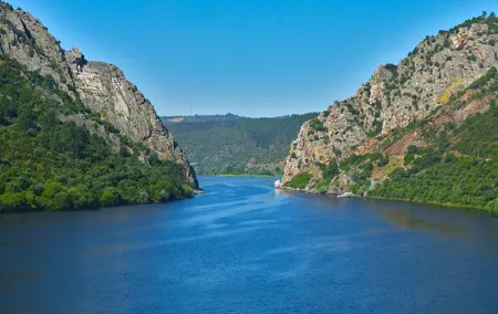 Full-Day Bird Watching Private Tour from Lisbon with Lunch