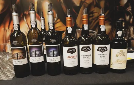 Private Lisbon Wine Tasting Trip to the Setubal Region with Hotel Pick-Up