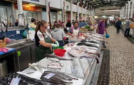 Arrábida culture, wine and gastronomic experience