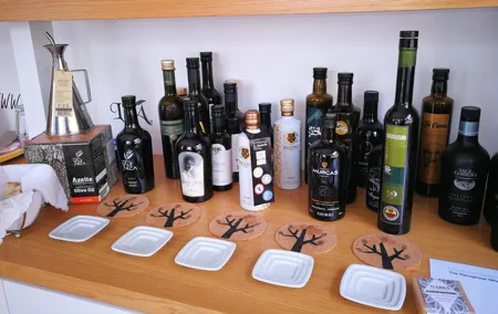 From Lisbon: Olive Oil, Salt Flats and Winery Private Day Tour