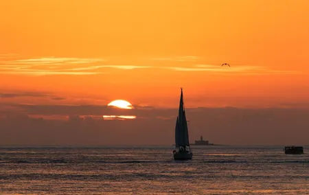 Sailing boat experience at sunset in the Tejo River