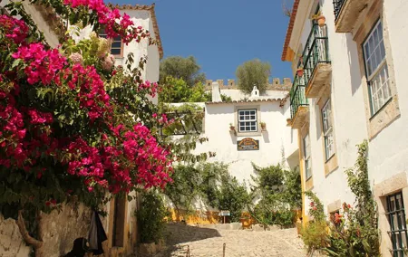 From Lisbon - Private Tour to Obidos, Nazare and Fatima with Drop-off in Porto