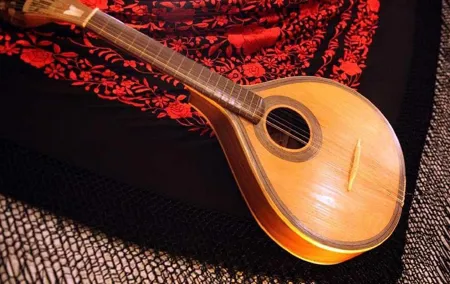 For small group in Lisbon with fado and dinner show