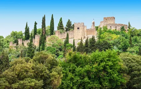 Private Full Day Tour to Tomar from Lisbon