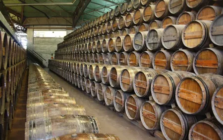 Private Special Tour Around Lisbon and Wine Tasting