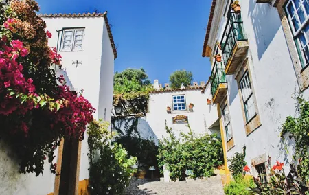 Private Day Trip from Lisbon to Óbidos Village and Mafra Palace w/ Hotel Pick-Up