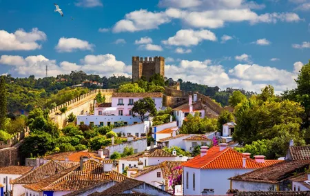 Private Full-Day Tour in Lisbon to Fátima, Nazaré and Óbidoscc