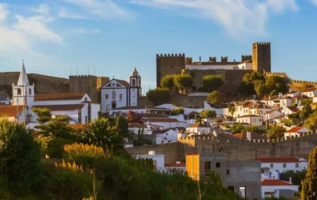 Lisbon to Douro up to 3 stops Obidos Nazaré and Aveiro