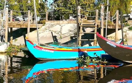 Ribatejo Private All Included fees and Lunch Day Tour With Birdwatching in EVOA