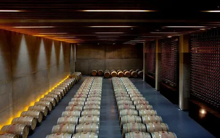 Private Wine & Food Tour in Lisboa