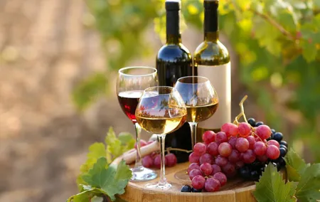 Luxury Private Arrábida Tour and Bacalhoa Palace with exclusive Wine taste