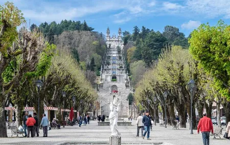 Transfer to Lamego from Lisbon
