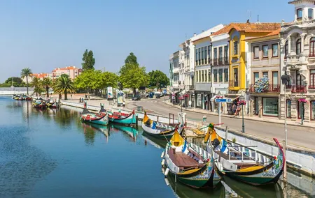 Aveiro, Boat Ride, Costa Nova & Coimbra Private Tour from Lisbon
