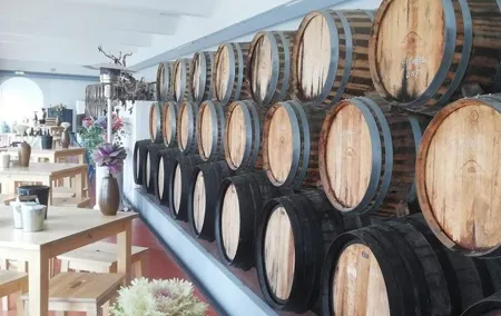 Wine Tour Discover the history and flavors of the best winery's of Lisbon Region