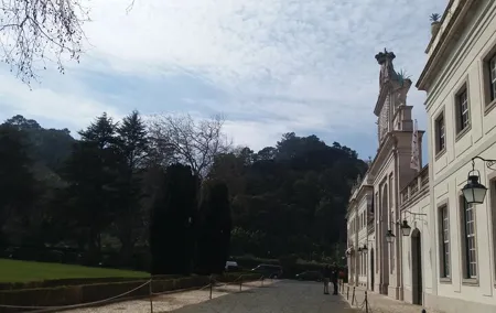 Transfer & Micro Tour of Porto - From Lisbon & Vice versa
