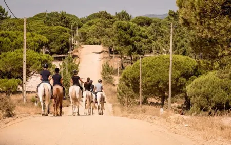 Private Alentejo Tour with Lunch and Horseback Ride along Melides Beach