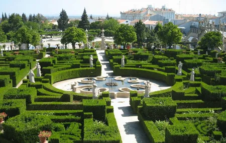 Transfer to Castelo Branco from Lisbon