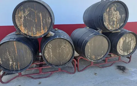 Private Tour of Arrábida and Proof of Moscatel