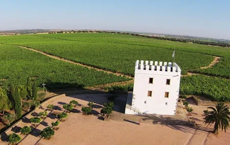 Private Wine & Food Tour in Alentejo