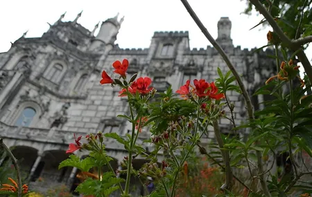 Lisbon Sintra Day Pass 1 Day Ticket