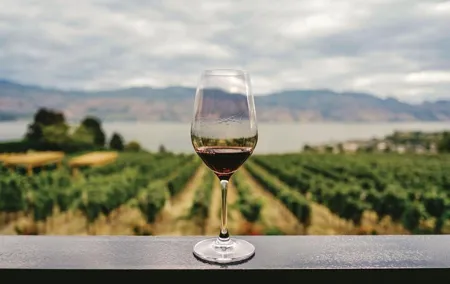 Private Tour to Discover Alentejo Wines